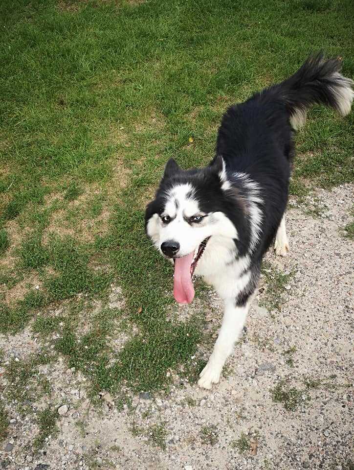 120845734_676774002969704_4905606819782165135_n