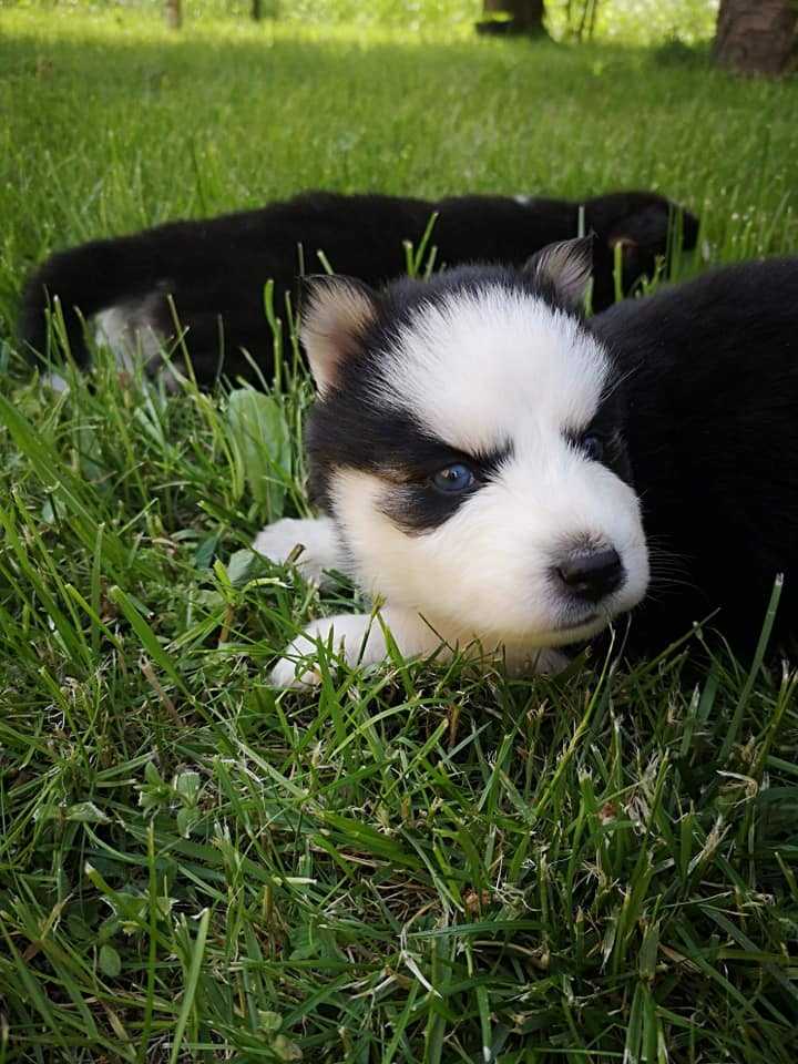 124325363_703286790318425_32276132836118971_n