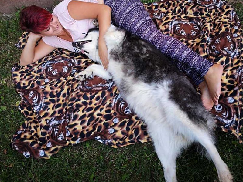 118554472_648996719080766_1443333621548533686_n